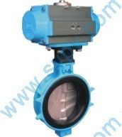 Wafer soft seal butterfly valve (2)